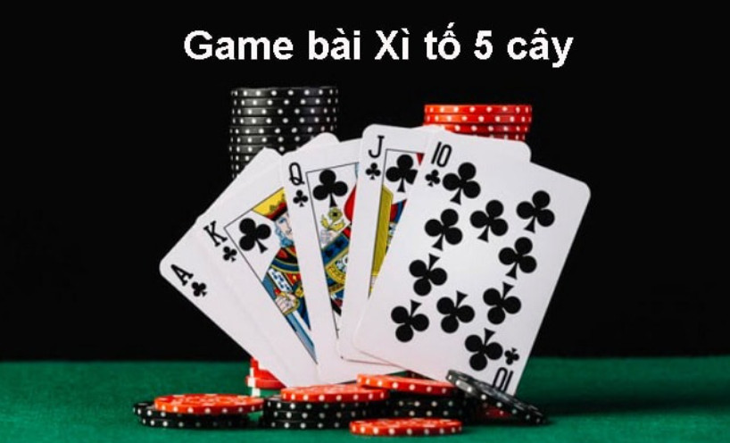 bai-xi-to-bet365